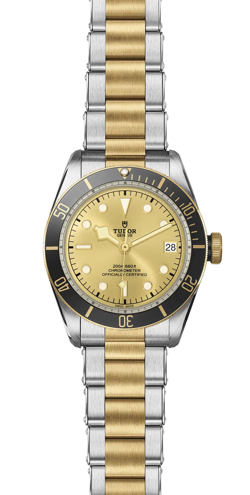 Tudor Watch