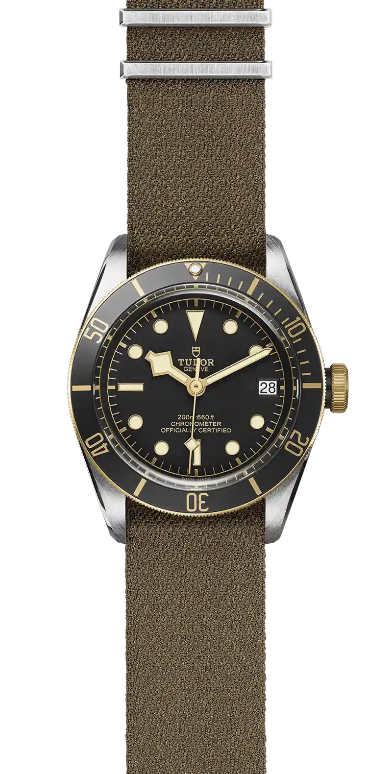 Tudor Watch