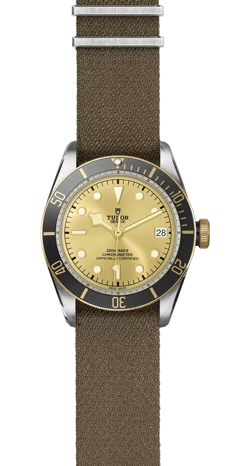 Tudor Watch
