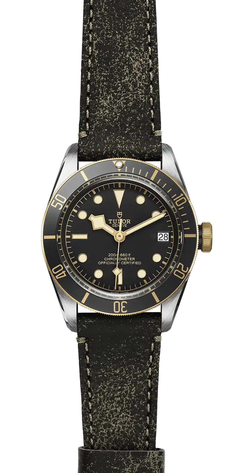 Tudor Watch