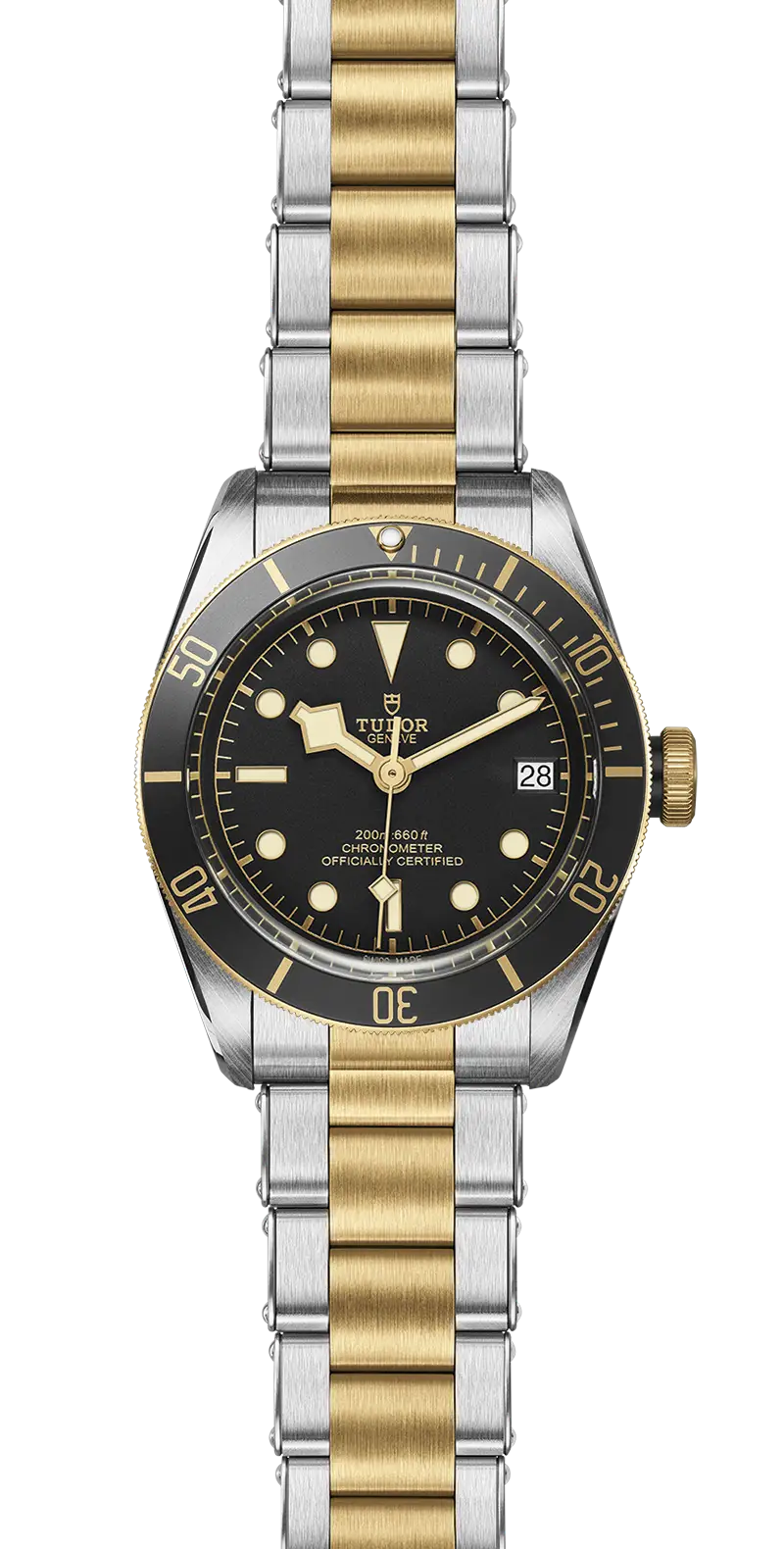 Tudor Watch
