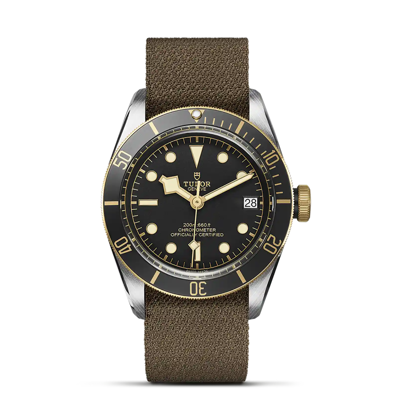 Tudor