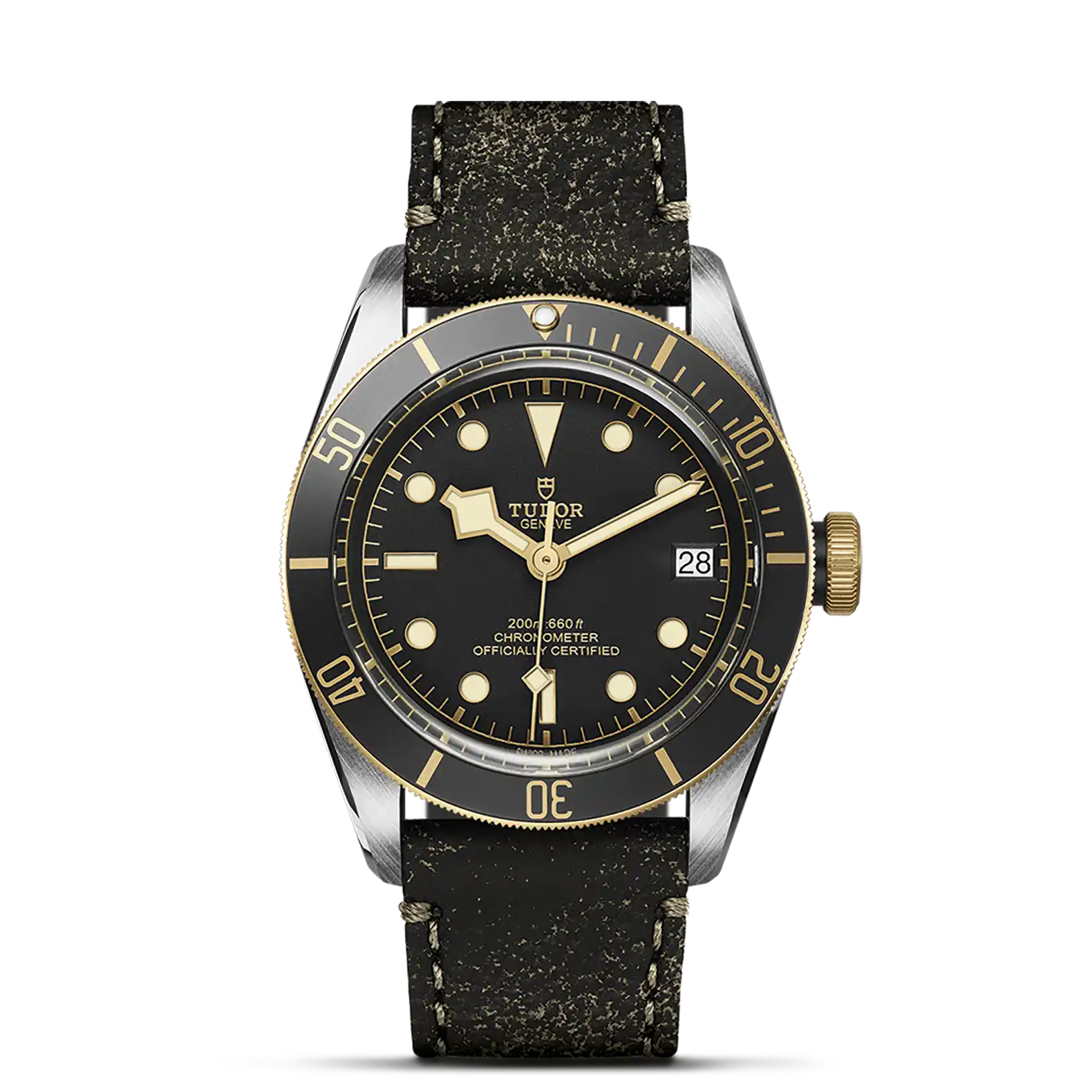 Tudor