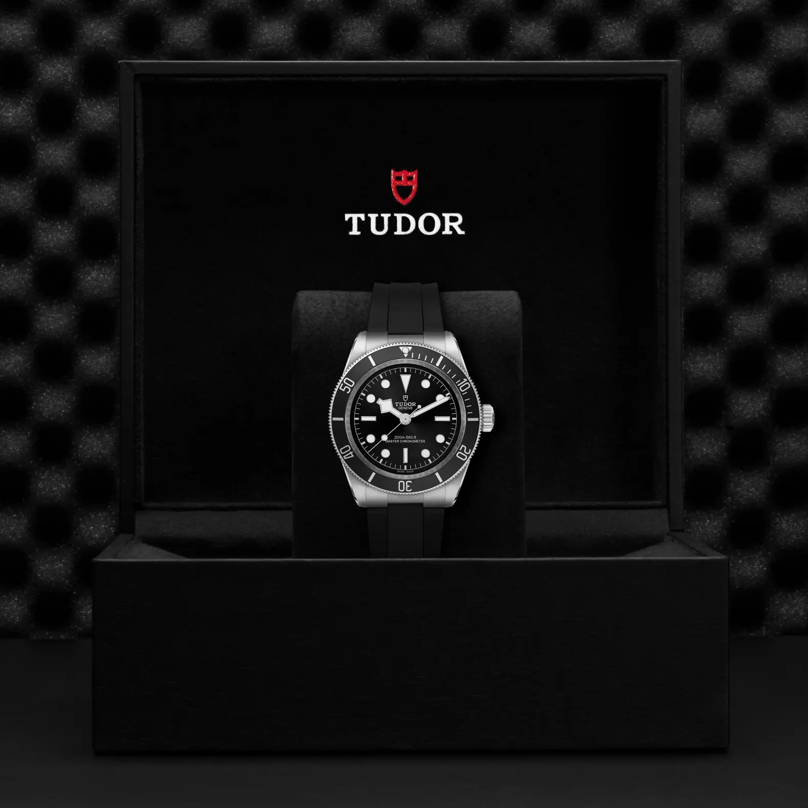 Tudor