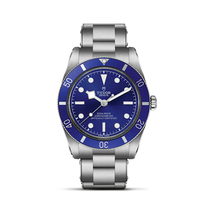 BLACK BAY 54 M79000B-0001 | Watch Palace