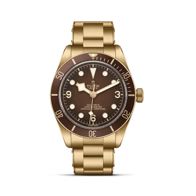 Tudor BLACK BAY 58 M79012M-0001 | Watch Palace