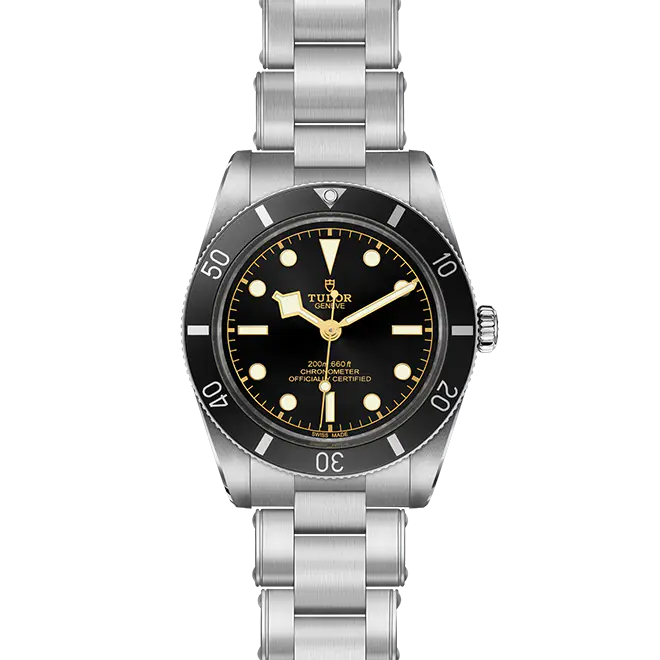 Tudor BLACK BAY 54 M79000N-0001 | Watch Palace