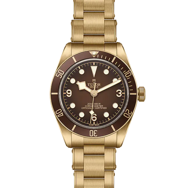 Tudor BLACK BAY 58 M79012M-0001 | Watch Palace