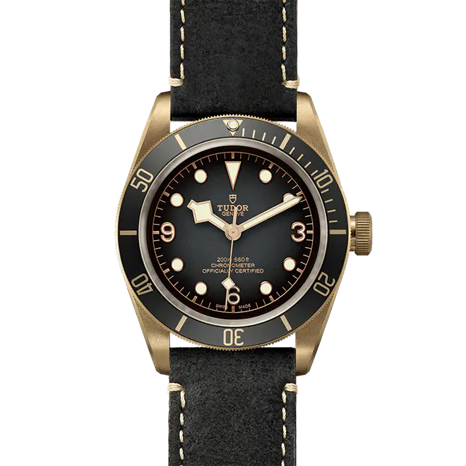 Tudor BLACK BAY BRONZE M79250BA-0001 | Watch Palace