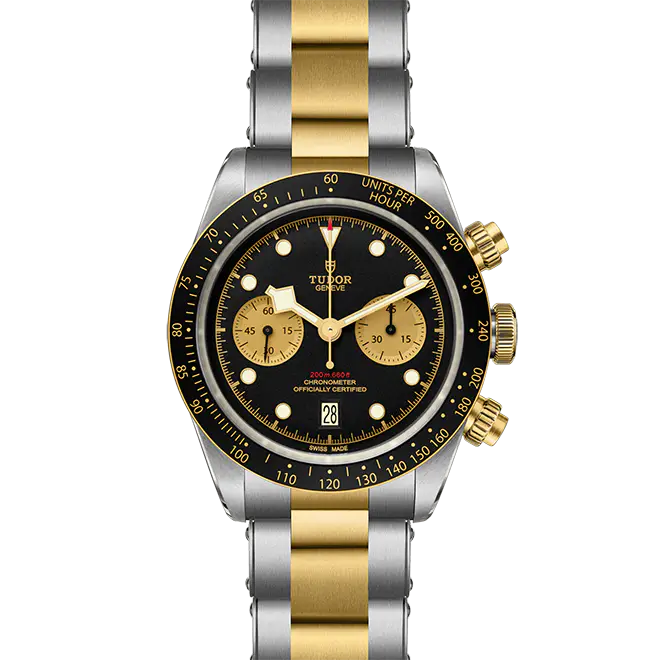 Tudor BLACK BAY CHRONO S&G M79363N-0001 | Watch Palace