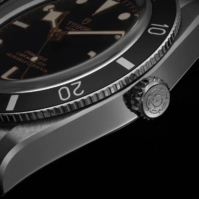 Tudor BLACK BAY 54 M79000N-0001 | Watch Palace