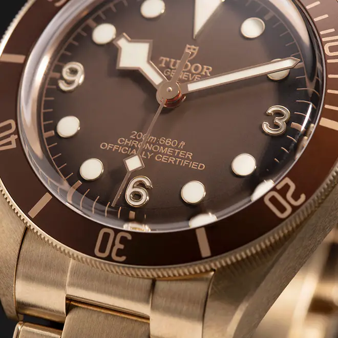 Tudor BLACK BAY 58 M79012M-0001 | Watch Palace