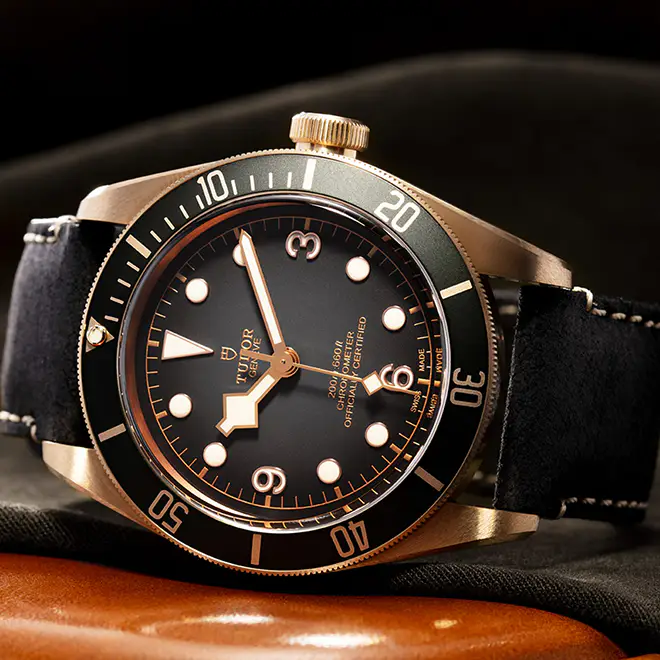 Tudor BLACK BAY BRONZE M79250BA-0001 | Watch Palace