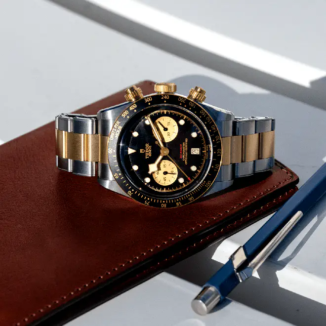Tudor BLACK BAY CHRONO S&G M79363N-0001 | Watch Palace