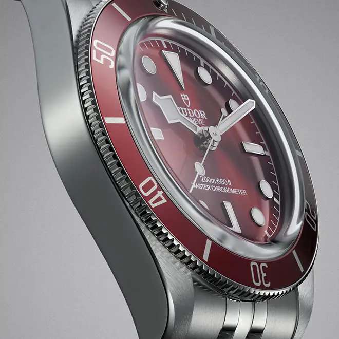 Tudor BLACK BAY 58 M7939A1A0RU-0001 | Watch Palace