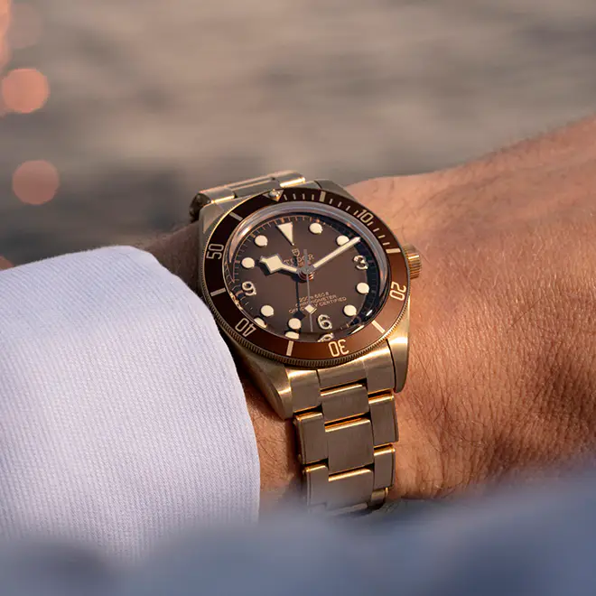 Tudor BLACK BAY 58 M79012M-0001 | Watch Palace