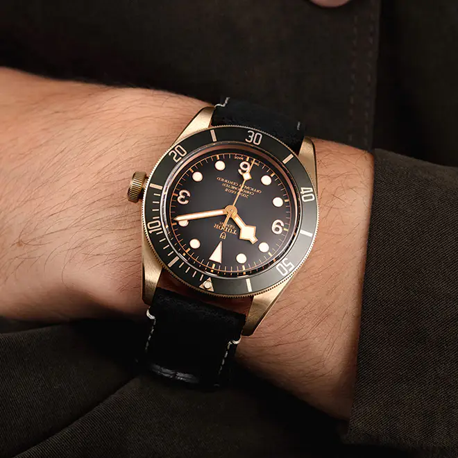 Tudor BLACK BAY BRONZE M79250BA-0001 | Watch Palace