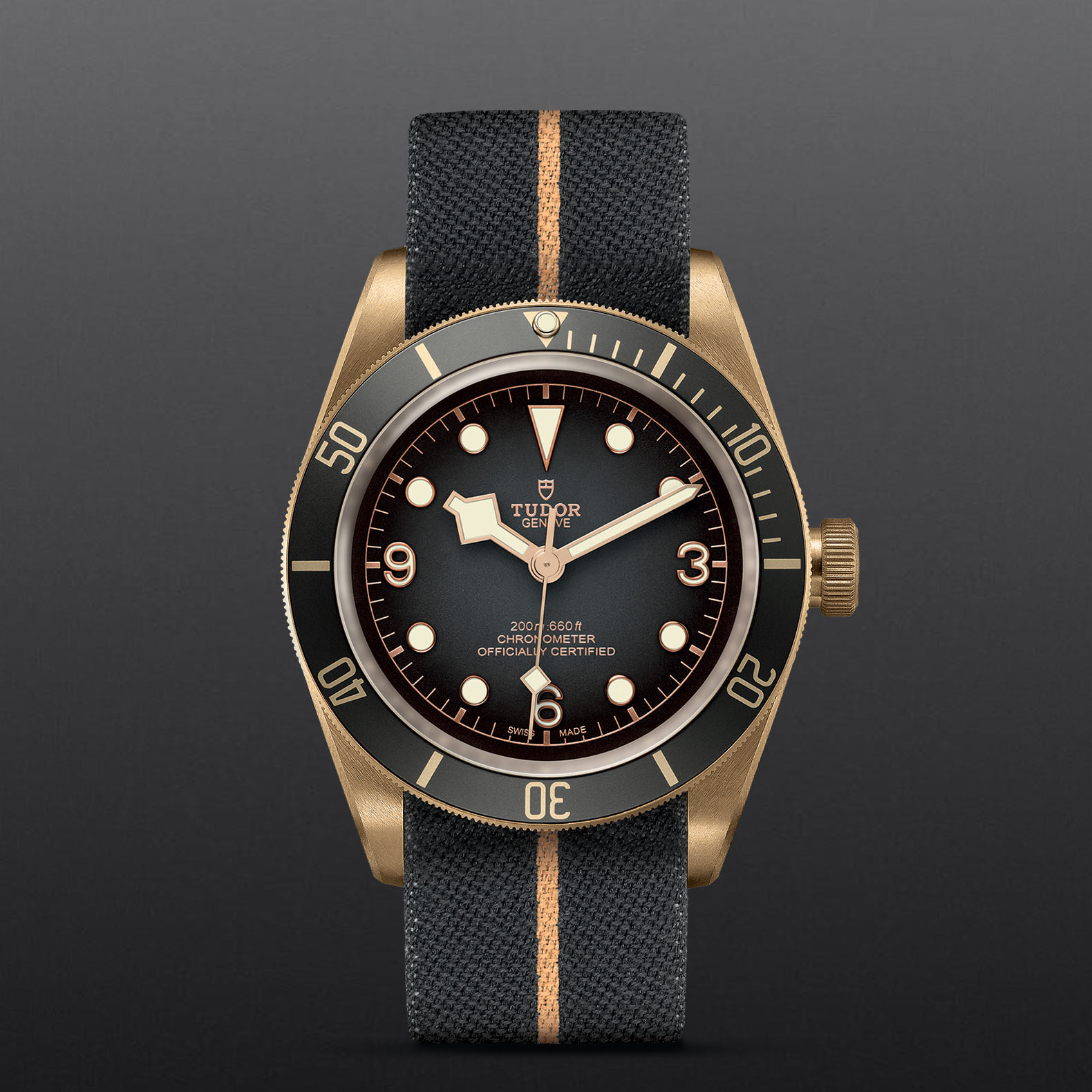 Black Bay Bronze slider image