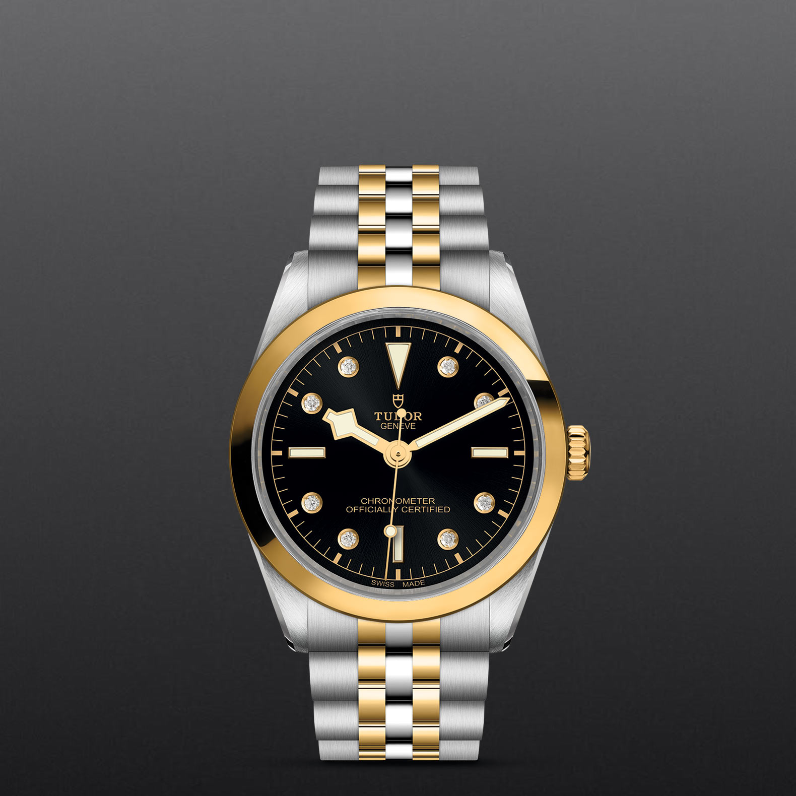 Tudor black bay s&g price sale