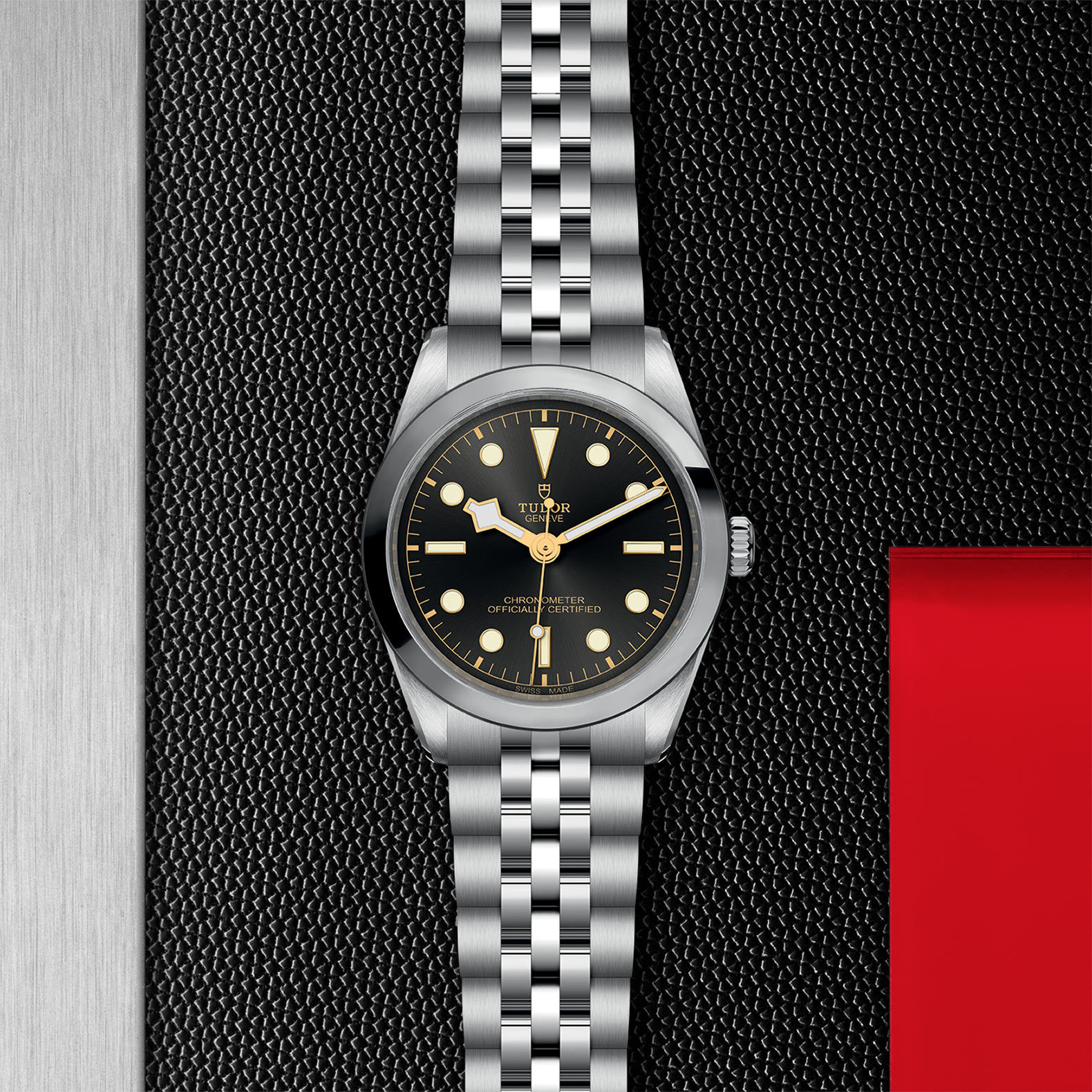 Tudor Black Bay 31 36 39 41 M79640 0001 Watch Palace